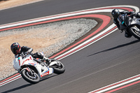 Lower Group White Bikes